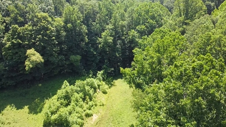 Country home with wooded land and pasture in Lewis county ky - image 23