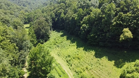 Country home with wooded land and pasture in Lewis county ky - image 24