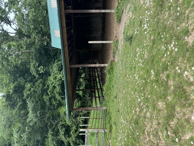 Country home with wooded land and pasture in Lewis county ky - image 6