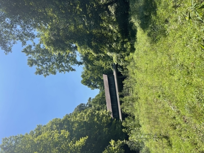 Country home with wooded land and pasture in Lewis county ky - image 33