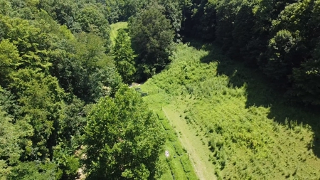 Country home with wooded land and pasture in Lewis county ky - image 15