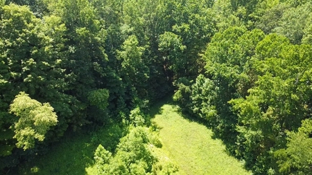 Country home with wooded land and pasture in Lewis county ky - image 20