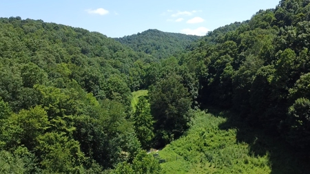 Country home with wooded land and pasture in Lewis county ky - image 14