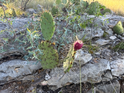 Lot 825 The Hideout Resort – Lake Brownwood, TX - image 17