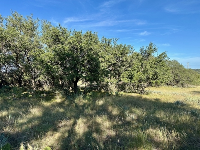 Lot 825 The Hideout Resort – Lake Brownwood, TX - image 12