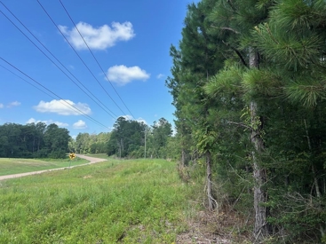 Listing 216