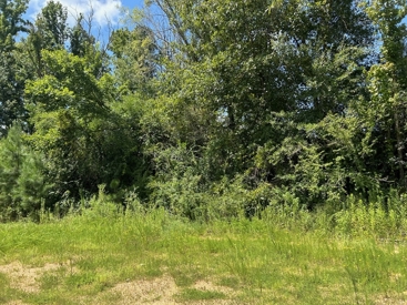 Listing 216
