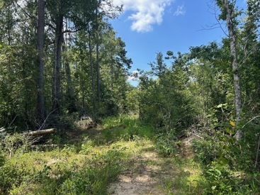 Listing 216