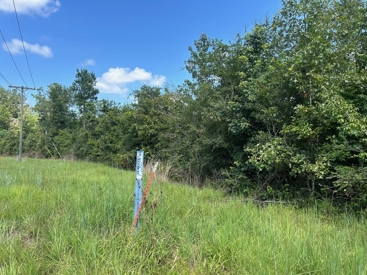 Listing 216