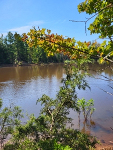 East TX Hunting & Recreational Land with Lake for Sale in Lindale - image 4