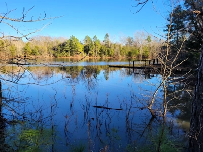 East TX Hunting & Recreational Land with Lake for Sale in Lindale - image 1