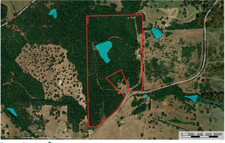East TX Hunting & Recreational Land with Lake for Sale in Lindale - image 2