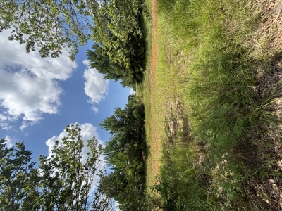 Residential Lot For Sale in Oak Park Subdivision - Troy AL - image 3