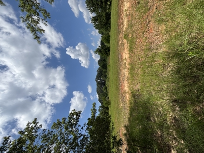 Residential Lot For Sale In Oak Park Subdivision - Troy AL - image 1