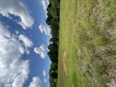 Residential Lot For Sale In Oak Park Subdivision - Troy AL - image 1
