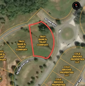 Residential Lot For Sale In Oak Park Subdivision - Troy AL - image 2