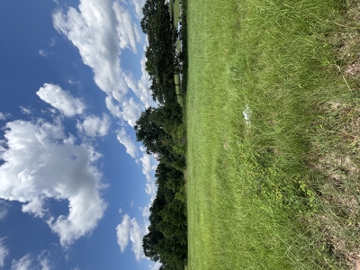Residential Lot For Sale In Oak Park Subdivision - Troy AL - image 1