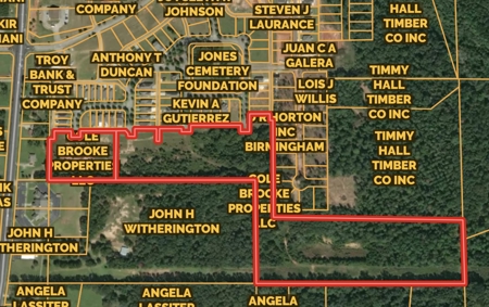24.02 Acre Block For Sale In Oak Park Subdivision - Troy AL - image 1