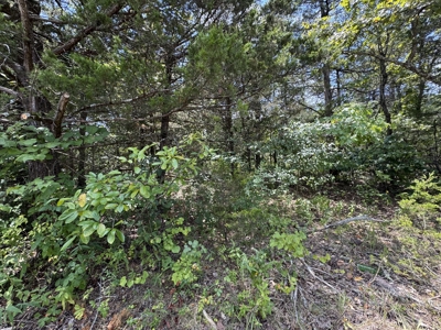 Prime Residential Lot On Turkey Mountain Golf Course - image 3