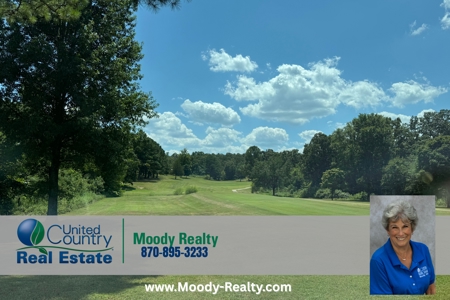 Prime Residential Lot On Turkey Mountain Golf Course - image 4