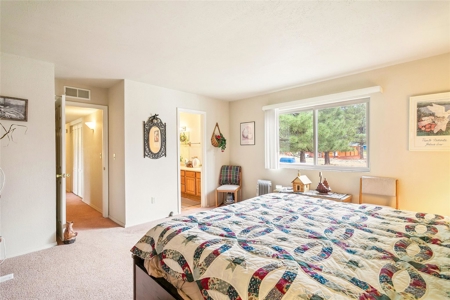 Cabin For Sale in Chama, New Mexico - image 9