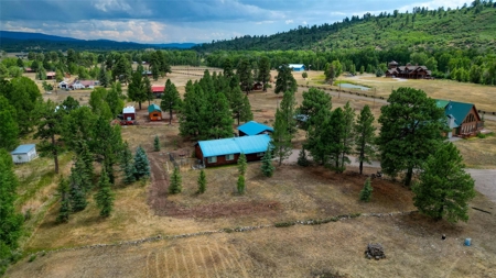 Cabin For Sale in Chama, New Mexico - image 37