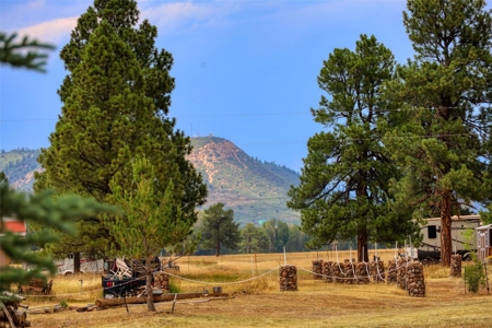 Cabin For Sale in Chama, New Mexico - image 36