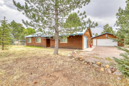 Cabin For Sale in Chama, New Mexico - image 3