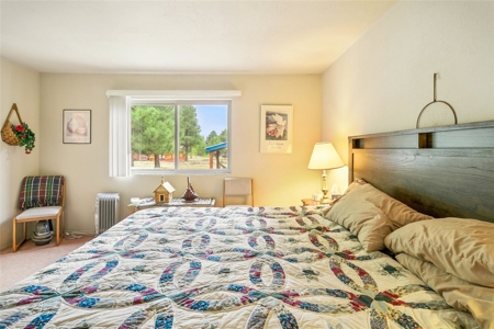Cabin For Sale in Chama, New Mexico - image 10
