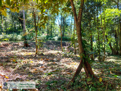 Land for Sale, Bocas del Toro– Near Town and Beaches - image 4