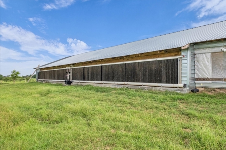 Turn-key Breeder Poultry Farm in Riesel, Texas - image 16