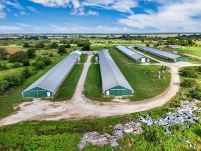 Turn-key Breeder Poultry Farm in Riesel, Texas - image 9