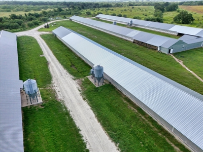 Turn-key Breeder Poultry Farm in Riesel, Texas - image 4