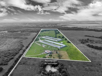 Turn-key Breeder Poultry Farm in Riesel, Texas - image 2