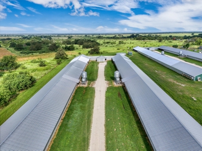 Turn-key Breeder Poultry Farm in Riesel, Texas - image 8