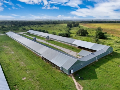 Turn-key Breeder Poultry Farm in Riesel, Texas - image 6