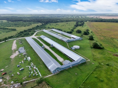 Turn-key Breeder Poultry Farm in Riesel, Texas - image 3