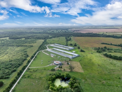 Turn-key Breeder Poultry Farm in Riesel, Texas - image 12