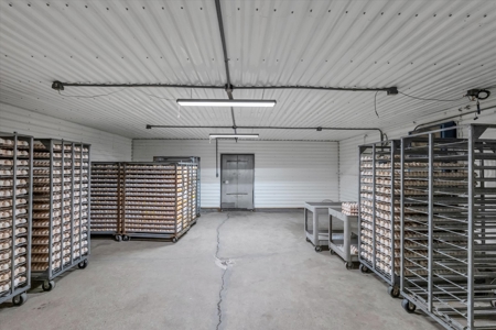 Turn-key Breeder Poultry Farm in Riesel, Texas - image 13