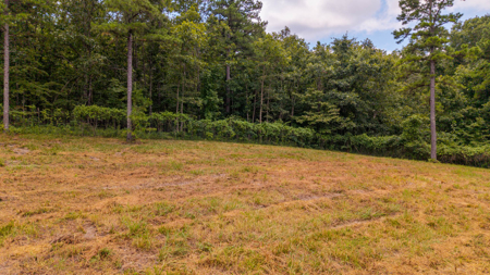 Country Home for sale in the Missouri Ozarks - Shannon County - image 47