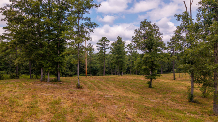 Country Home for sale in the Missouri Ozarks - Shannon County - image 48