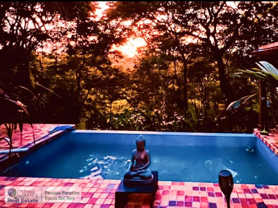 Titled 1-Acre Home with Guesthouse & Pool – 5 Min to Town - image 42