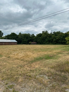 Land for Sale in Maury County, Tennessee - image 6