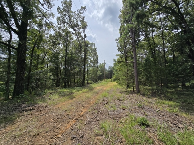 Blackfork River Country Homesite - Adjoining National Forest - image 12