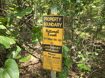 Blackfork River Country Homesite - Adjoining National Forest - image 10