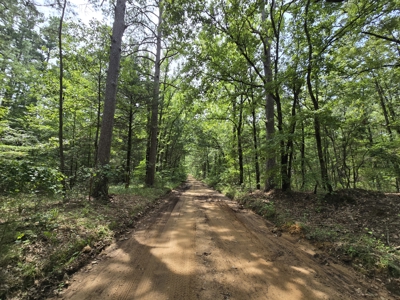 Blackfork River Country Homesite - Adjoining National Forest - image 3