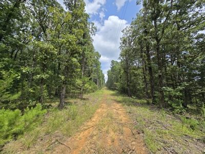 Blackfork River Country Homesite - Adjoining National Forest - image 11