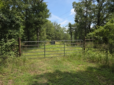 Blackfork River Country Homesite - Adjoining National Forest - image 2