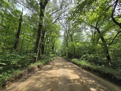 Blackfork River Country Homesite - Adjoining National Forest - image 4