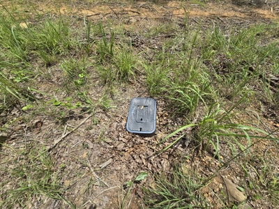 Blackfork River Country Homesite - Adjoining National Forest - image 5